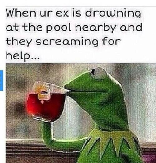 None Of My Business Funny Kermit Quotes. QuotesGram