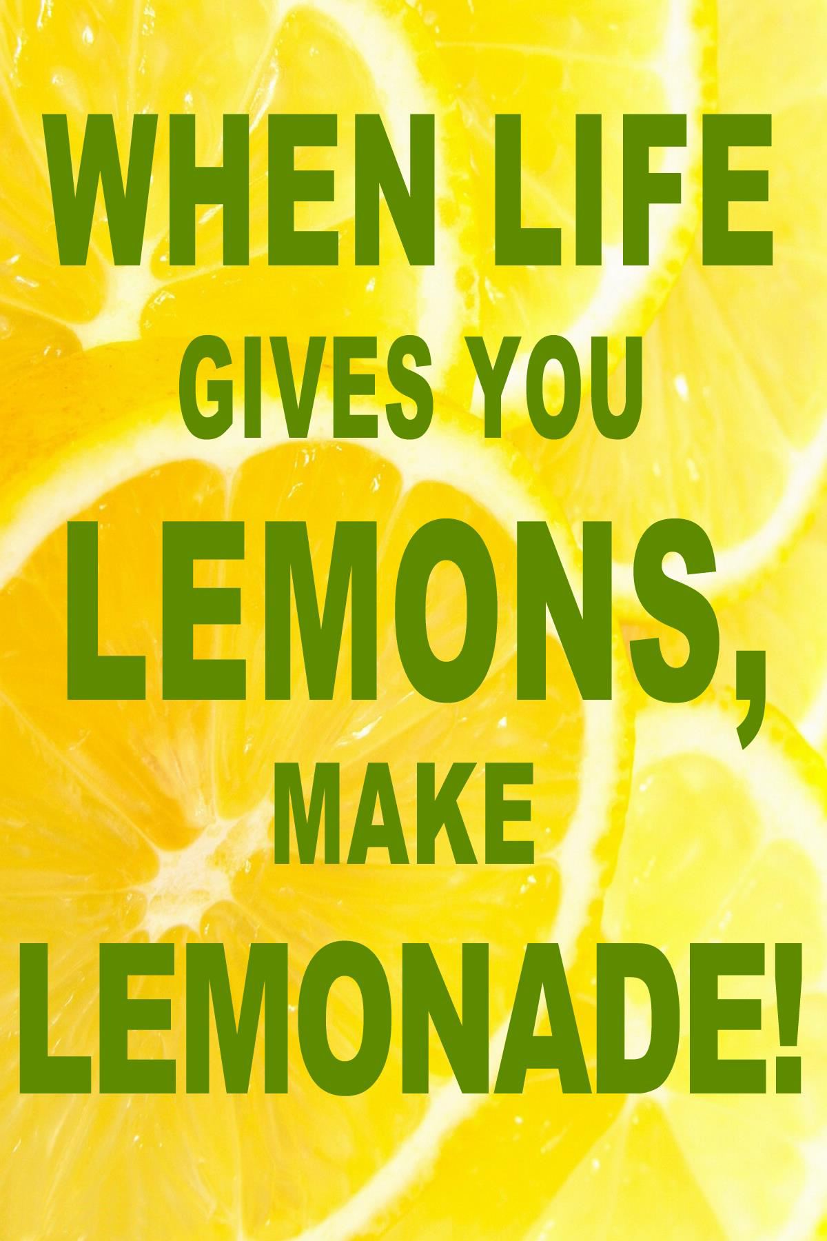 When Life Gives You Lemons Funny Quotes Quotesgram 