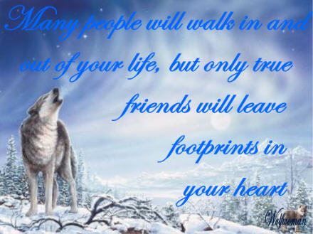 Happy Birthday Wolf Images And Quotes. QuotesGram
