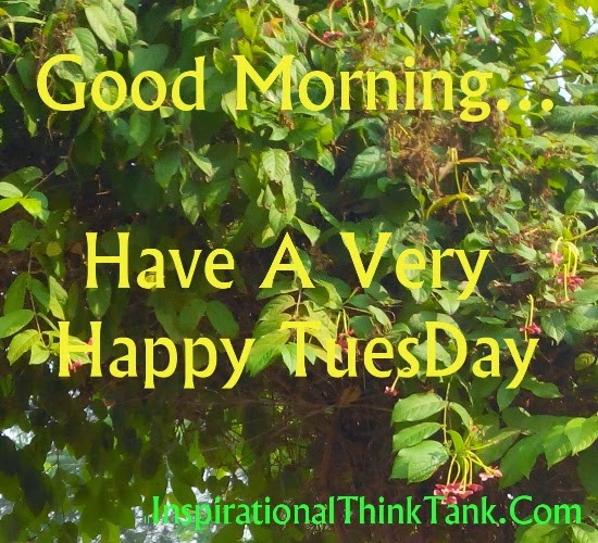 Happy Tuesday Motivational Team Quotes. QuotesGram