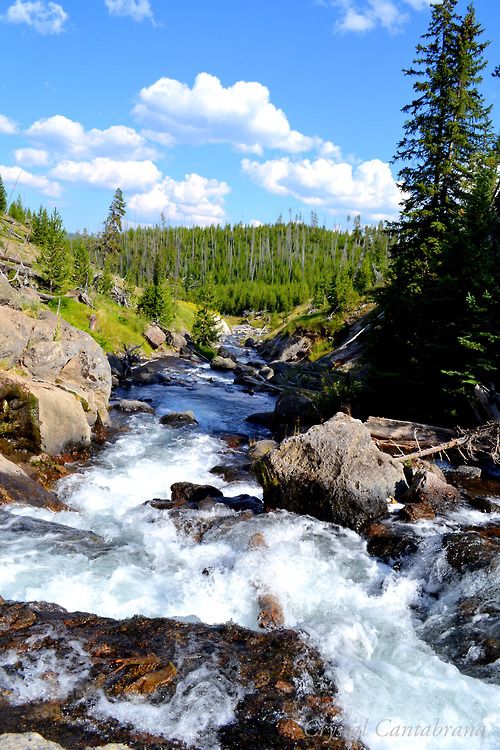 yellowstone-national-park-quotes-quotesgram