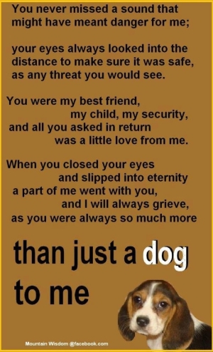 I Miss You Dog Quotes. QuotesGram