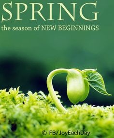 Spring New Beginnings Quotes. QuotesGram
