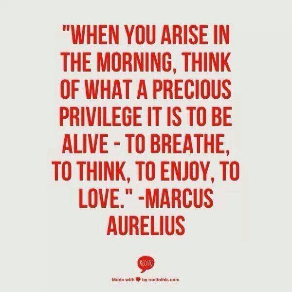 Marcus Aurelius on love through understanding