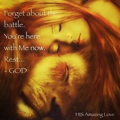 Lioness Strength Quotes. QuotesGram