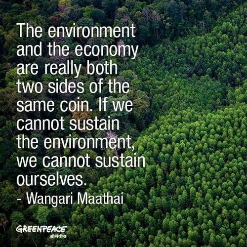 Save The Environment Quotes. QuotesGram
