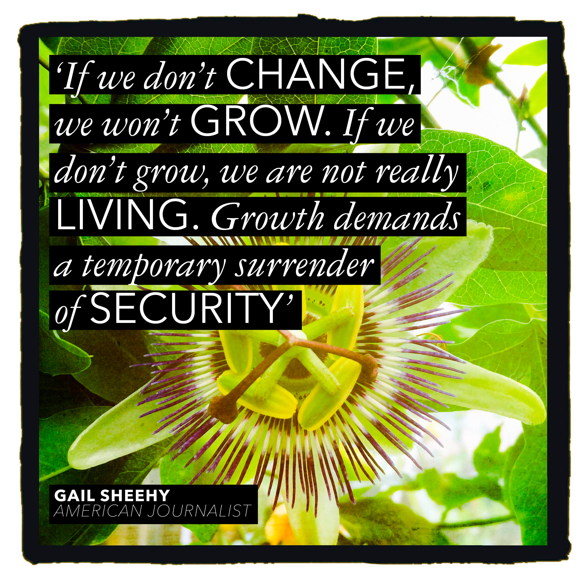 Inspirational Quotes For Housekeepers. QuotesGram