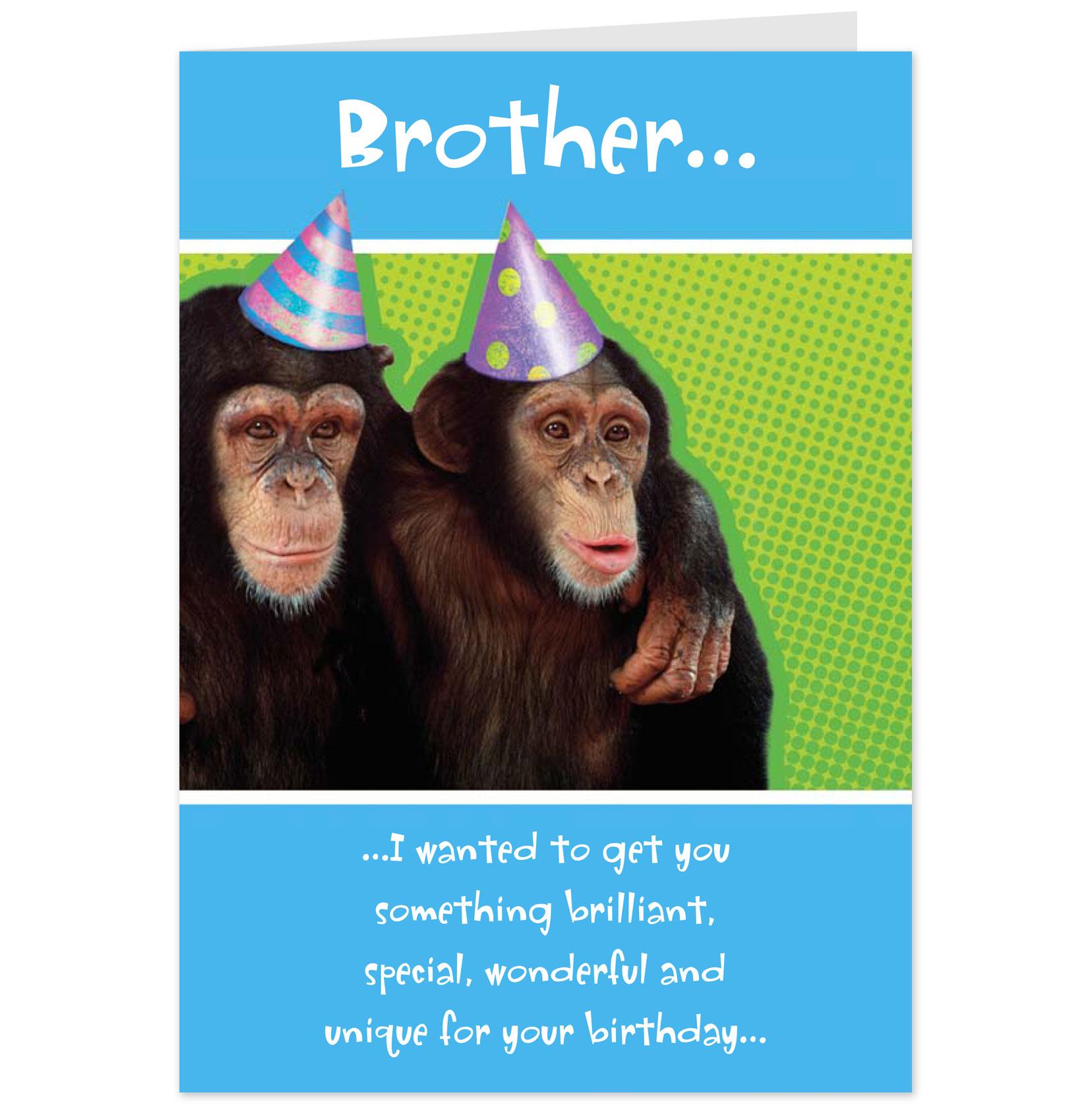 Hilarious Birthday Quotes For Brother. QuotesGram