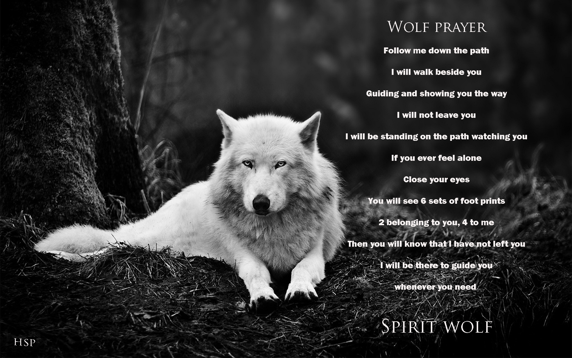 Spirit Wolves, fantasy, ghost, shadows, wolf, howl, HD wallpaper | Peakpx