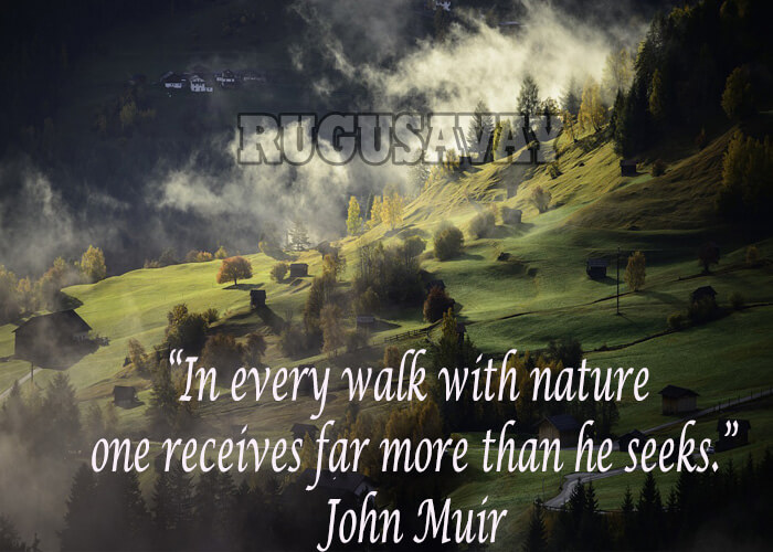 Famous Quotes By John Muir