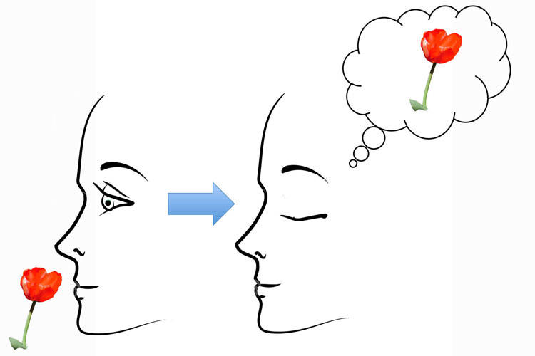 Smell Memory Quotes. QuotesGram