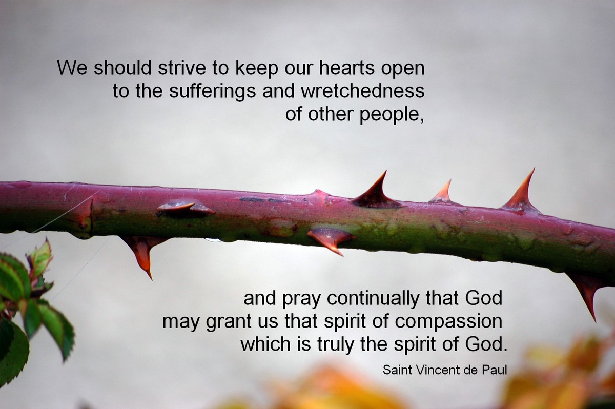 St Paul Renewal Quote