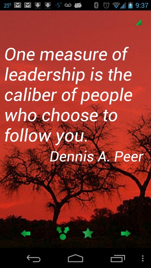 Leadership Journey Quotes. QuotesGram