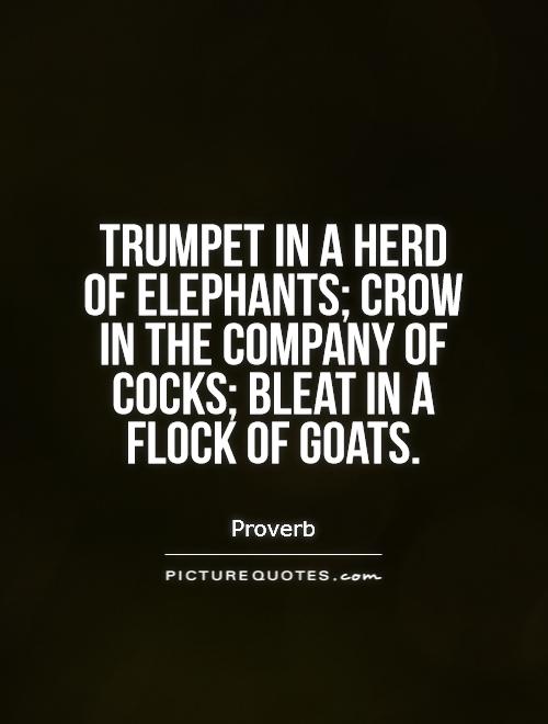 Follow The Herd Quotes. QuotesGram
