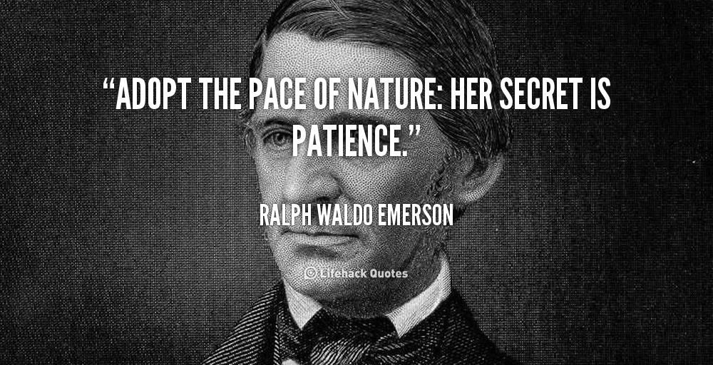 Pace Yourself Quotes. QuotesGram