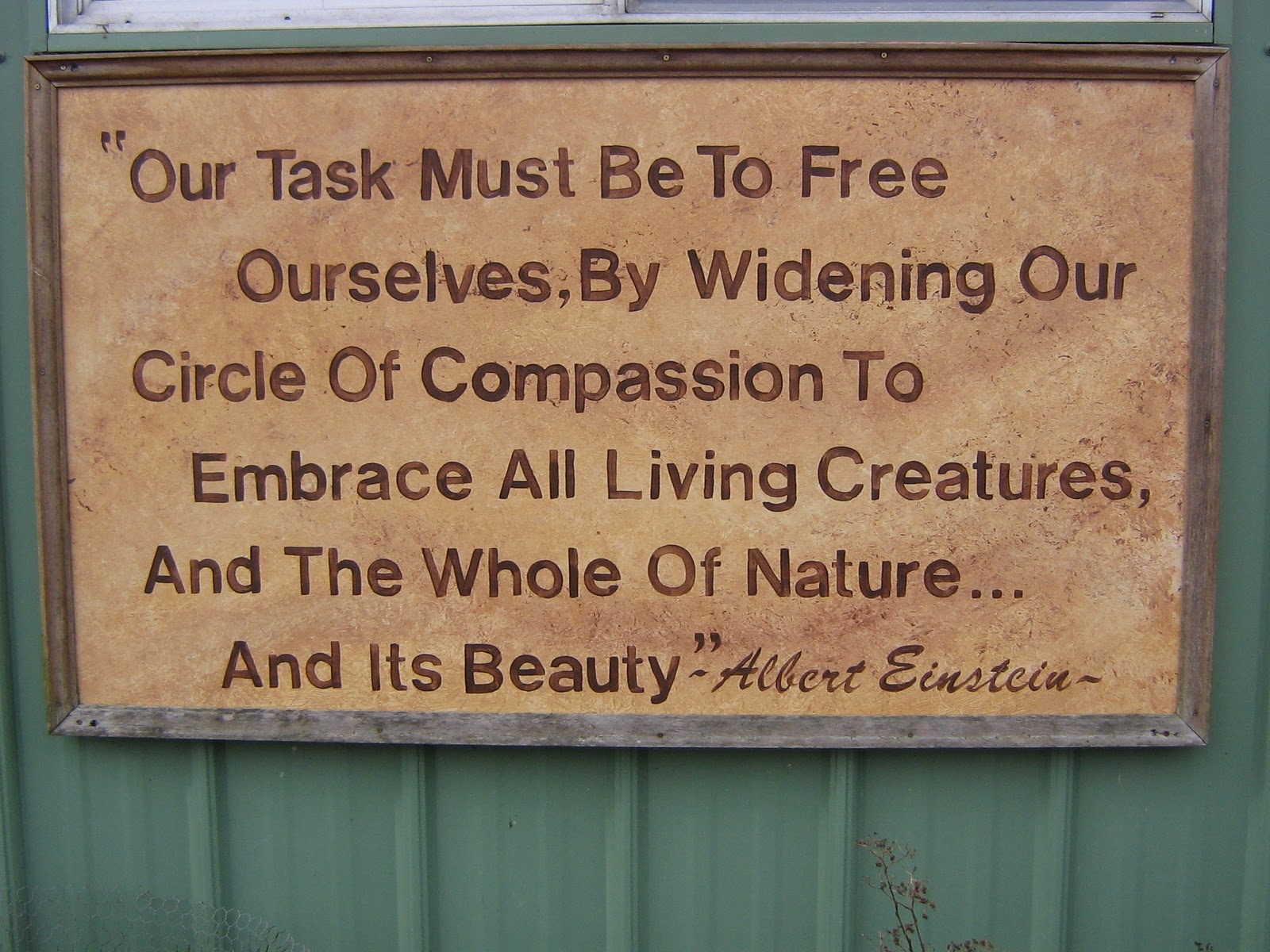 Famous Quotes About Conservation QuotesGram famous-quotes-about-conservation-quotesgram