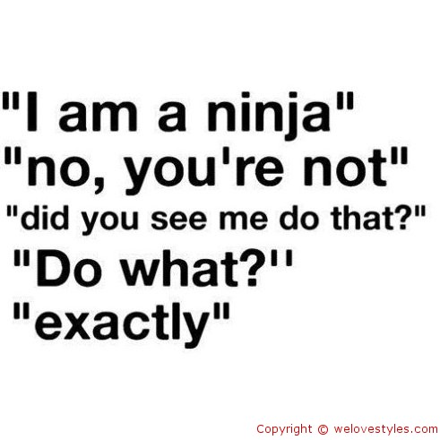  Ninja  Inspirational Quotes  QuotesGram