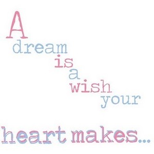 Quotes About Wishes. QuotesGram