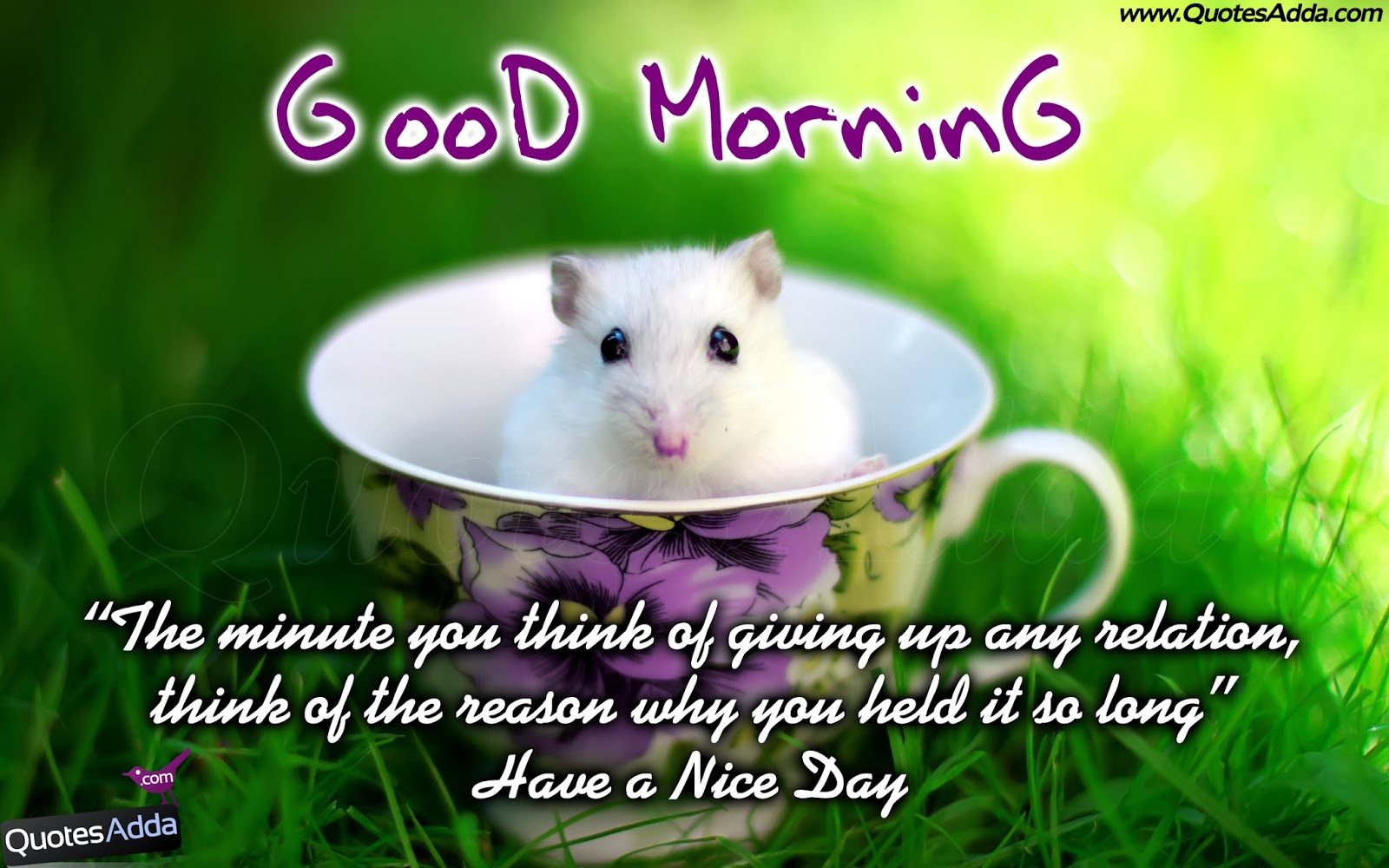 Gangsta Good Morning Quotes Quotesgram