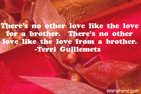 Like No Other Love Quotes Quotesgram