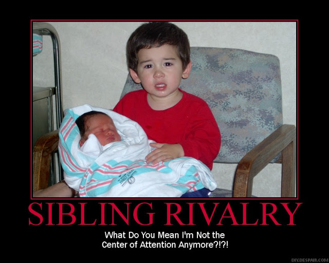 Sibling Rivalry Quotes. QuotesGram