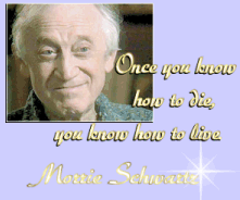 morrie schwartz meaning of life morrie schwartz meaning of life