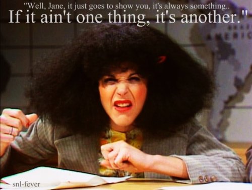 Roseanne Roseannadanna Quotes. QuotesGram