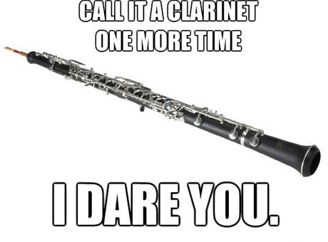 Funny Clarinet Player Quote Wine Tumbler Reed my lips Unique 12oz Light Purple