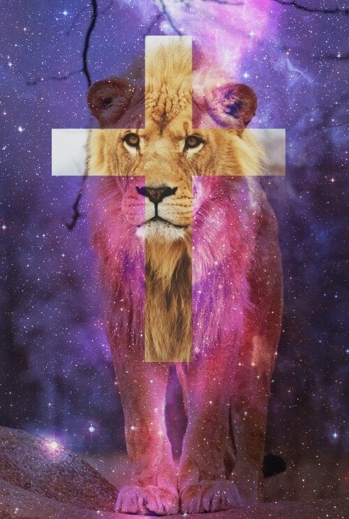 Lion Quotes And Galaxy. QuotesGram