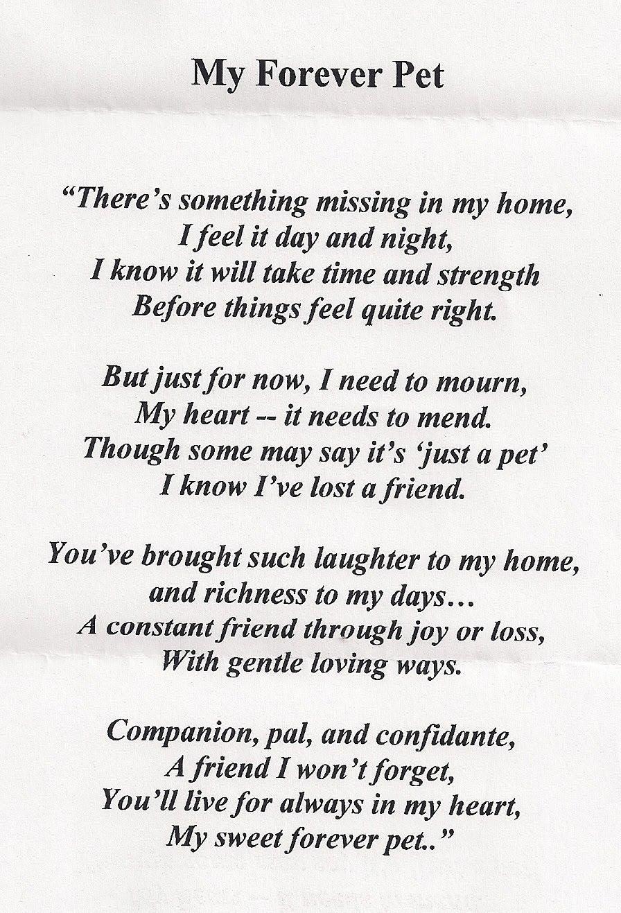 Goodbye Quotes For Pets QuotesGram