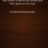 Prophet Muhammad Quotes On Education. QuotesGram