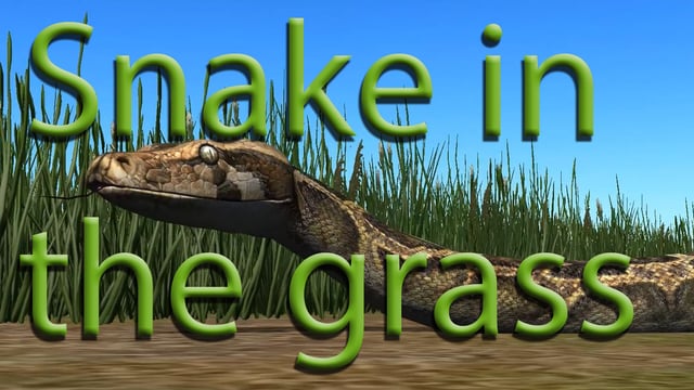 snake-in-the-grass-quotes-quotesgram