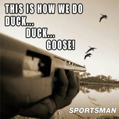 goose funny quotes. quotesgram