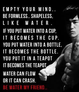 Bruce Lee Water Philosophy Online