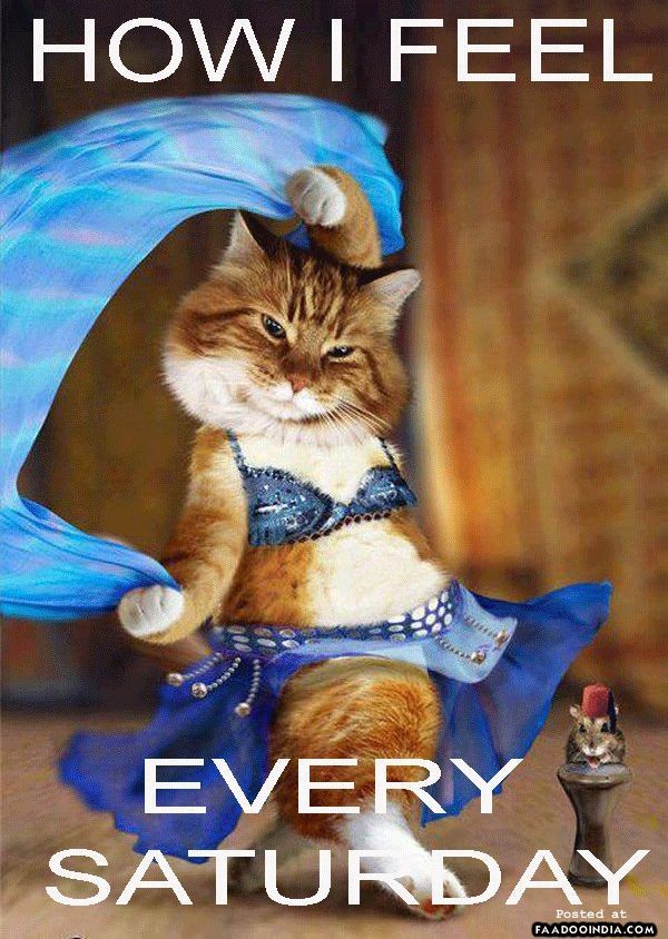 Viral Happy Saturday Captions Terkini Sobatsenja