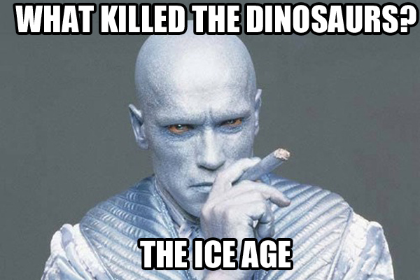 Arnold Schwarzenegger Funny Quotes. QuotesGram