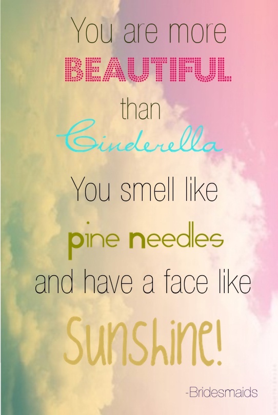 Quotes From Bridesmaids Quotesgram