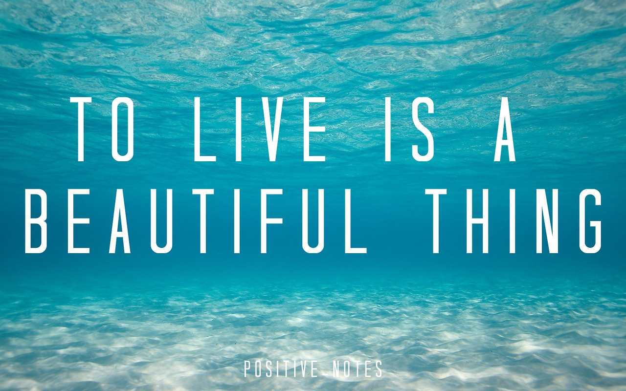 Positive Attitude Beach Quotes Quotesgram