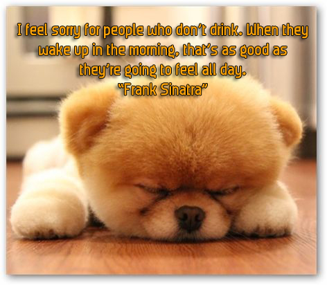 Feeling Sorry For Someone Quotes. QuotesGram