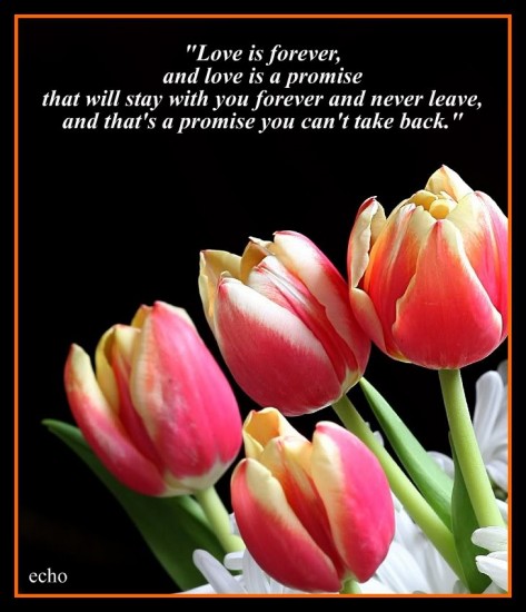 Friendship Quotes With Flowers. QuotesGram