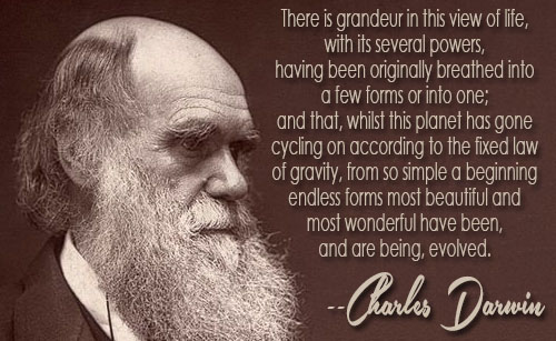 Natural Selection Darwin Quotes. QuotesGram