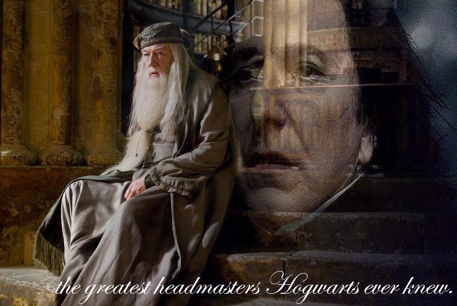 Funny Dumbledore Quotes. QuotesGram