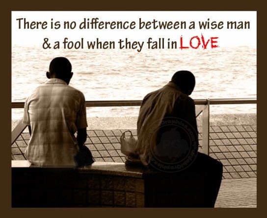 Wise Man Quotes About Love QuotesGram