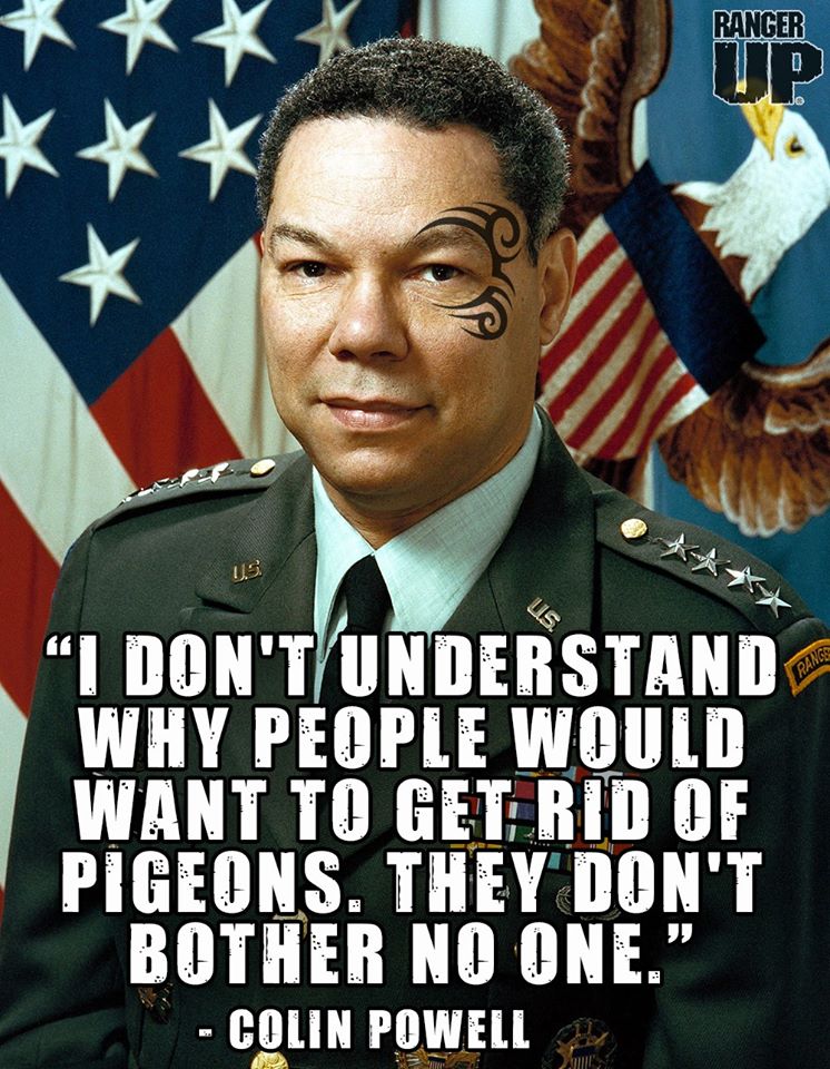 Featured image of post Funny Military Quotes Leadership / Do not touch anything unnecessarily.