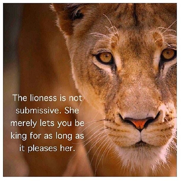 Lioness Courage Quotes. QuotesGram