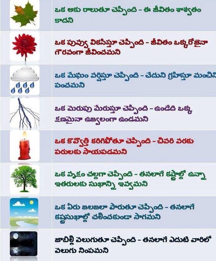 Telugu Quotes On Women. QuotesGram