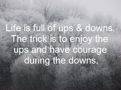 Ups And Downs Love Quotes. QuotesGram