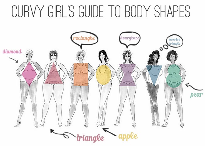 body shapes explained