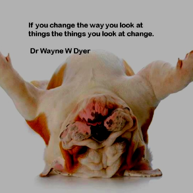 Funny Quotes About Change Management. QuotesGram