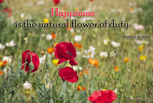 Famous Quotes About Tulips. QuotesGram Famous Quotes About Tulips. QuotesGram